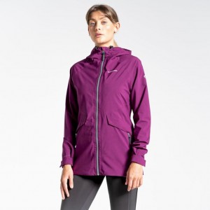 Kurtka Gore Tex Damskie Craghoppers Minola Fioletowe | PL EHRGO85