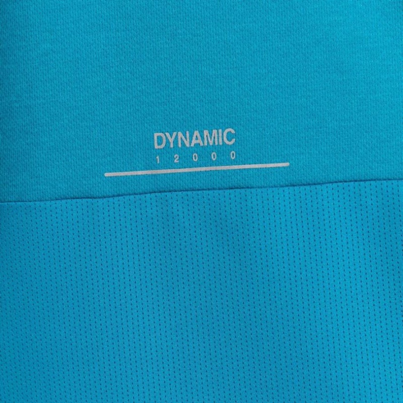 Koszulki Męskie Craghoppers Dynamic Pro Krótkie Sleeve Niebieskie | PL HVCND54