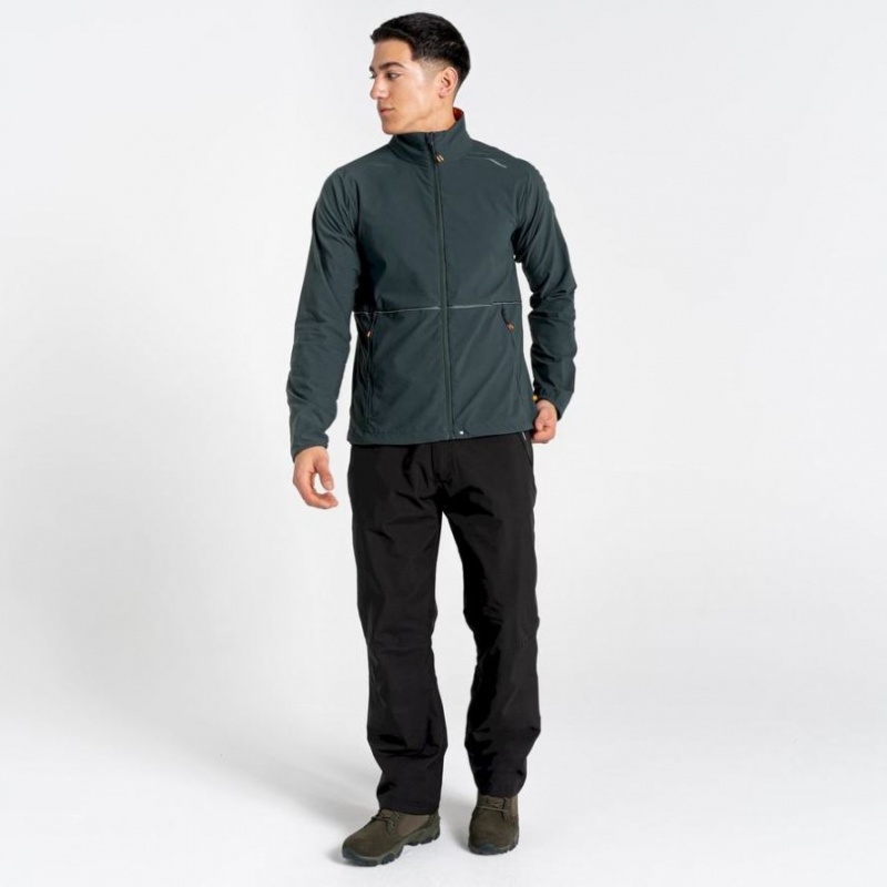 Kurtka Softshell Męskie Craghoppers NosiLife Active Zielone | PL EMFZW46