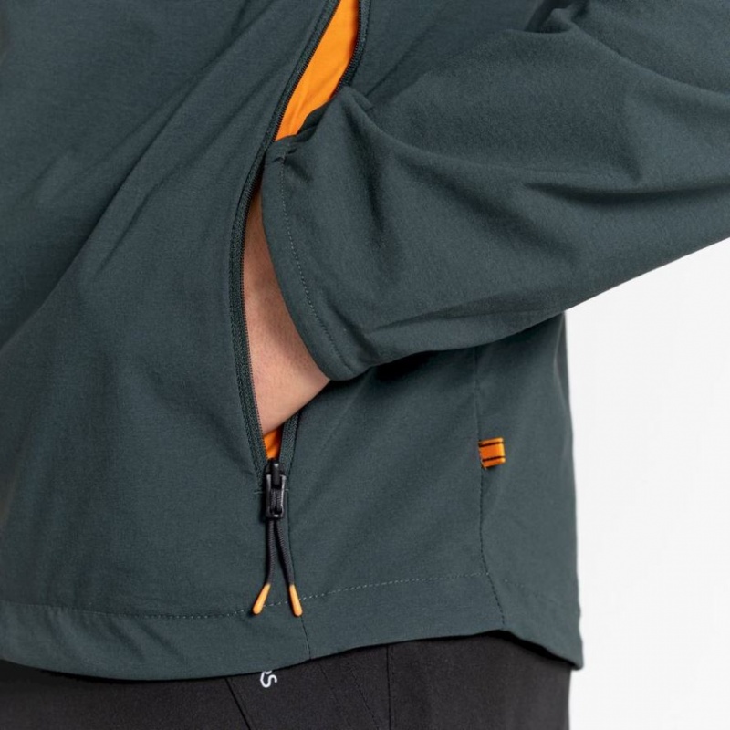 Kurtka Softshell Męskie Craghoppers NosiLife Active Zielone | PL EMFZW46