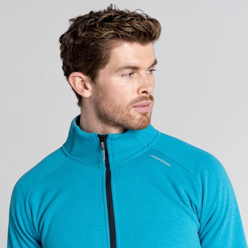 Swetry Z Polaru Męskie Craghoppers Dynamic Pro Half Zip Niebieskie | PL AIXFM62