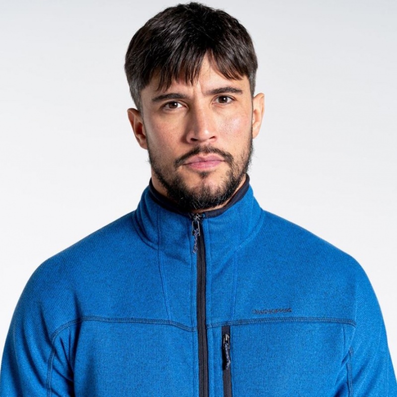 Swetry Z Polaru Męskie Craghoppers Torney Half Zip Niebieskie | PL QTRVC84