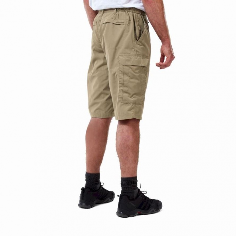 Szorty Męskie Craghoppers Kiwi Long Khaki | PL KZQXY24